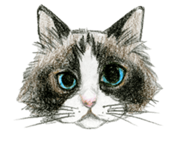 Hey! cat! sticker #946197