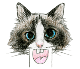 Hey! cat! sticker #946198