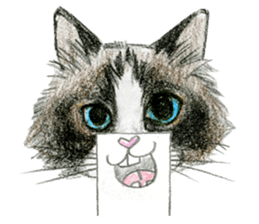 Hey! cat! sticker #946200