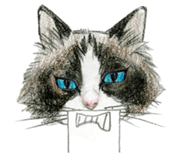 Hey! cat! sticker #946201