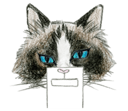 Hey! cat! sticker #946202