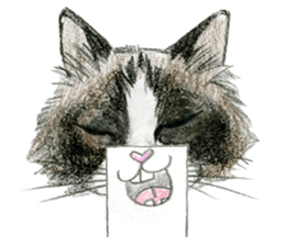 Hey! cat! sticker #946203