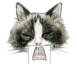 Hey! cat! sticker #946204