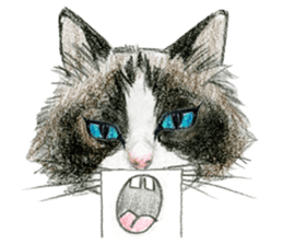 Hey! cat! sticker #946205