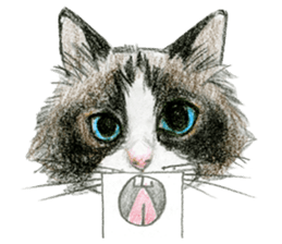 Hey! cat! sticker #946206