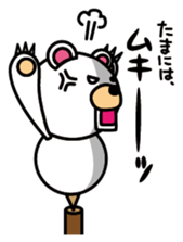 Balancier Bear sticker #946277