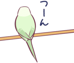 chacha&pyupyu sticker #947939