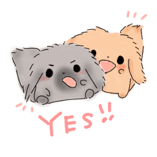 Peke Twins (English version) sticker #948542