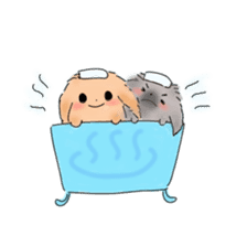 Peke Twins (English version) sticker #948554