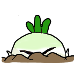 Japanese radish sticker #948679