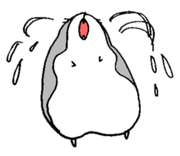 Hamster sticker #949058