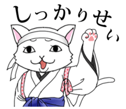 OEDO Animal series "The Cat Princess" sticker #950425