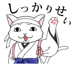 OEDO Animal series "The Cat Princess" sticker #950425