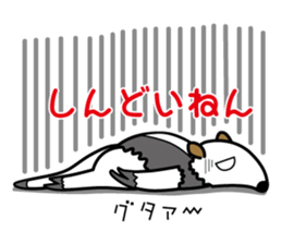 Tamandua speaks with a Kansai accent sticker #951455