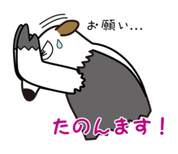 Tamandua speaks with a Kansai accent sticker #951461