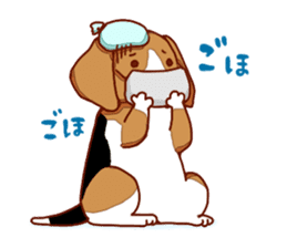 Beagle puppies sticker #951760