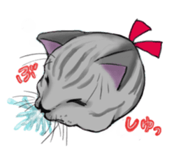 tabby cat sticker #951972