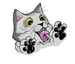 tabby cat sticker #951973
