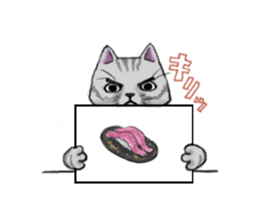 tabby cat sticker #951979