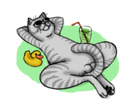 tabby cat sticker #951987