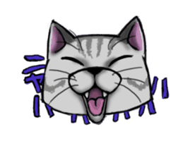 tabby cat sticker #952002
