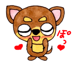 Yamato Maro eyebrow Chihuahua 2 sticker #952411