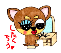 Yamato Maro eyebrow Chihuahua 2 sticker #952414