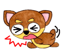 Yamato Maro eyebrow Chihuahua 2 sticker #952420