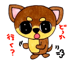 Yamato Maro eyebrow Chihuahua 2 sticker #952423