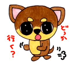 Yamato Maro eyebrow Chihuahua 2 sticker #952423
