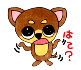Yamato Maro eyebrow Chihuahua 2 sticker #952426