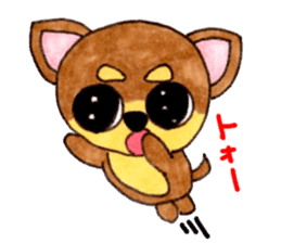 Yamato Maro eyebrow Chihuahua 2 sticker #952436