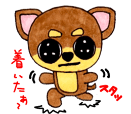 Yamato Maro eyebrow Chihuahua 2 sticker #952437