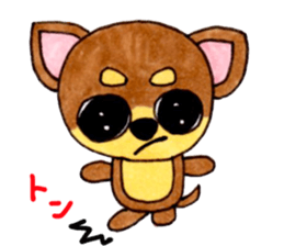 Yamato Maro eyebrow Chihuahua 2 sticker #952441