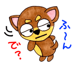 Yamato Maro eyebrow Chihuahua 2 sticker #952442