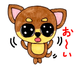 Yamato Maro eyebrow Chihuahua 2 sticker #952444