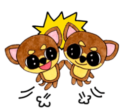 Yamato Maro eyebrow Chihuahua 2 sticker #952446