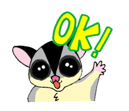 I love Sugar Glider sticker #953647