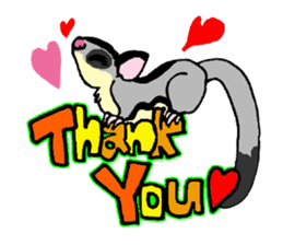 I love Sugar Glider sticker #953648