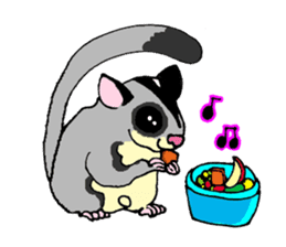 I love Sugar Glider sticker #953651