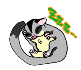 I love Sugar Glider sticker #953654