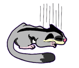 I love Sugar Glider sticker #953655