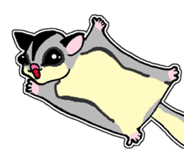 I love Sugar Glider sticker #953662