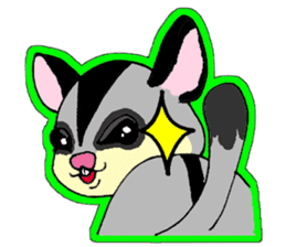 I love Sugar Glider sticker #953665