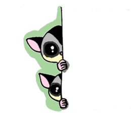 I love Sugar Glider sticker #953666