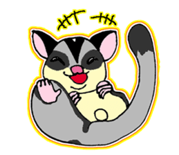 I love Sugar Glider sticker #953667