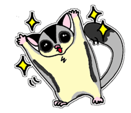 I love Sugar Glider sticker #953669
