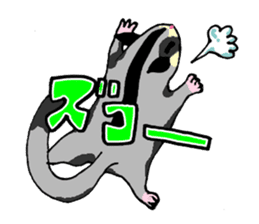 I love Sugar Glider sticker #953670