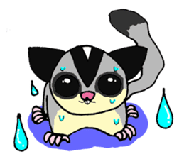 I love Sugar Glider sticker #953673