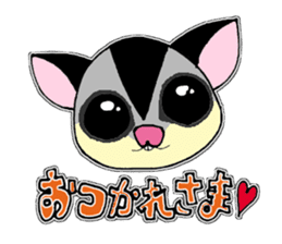 I love Sugar Glider sticker #953681